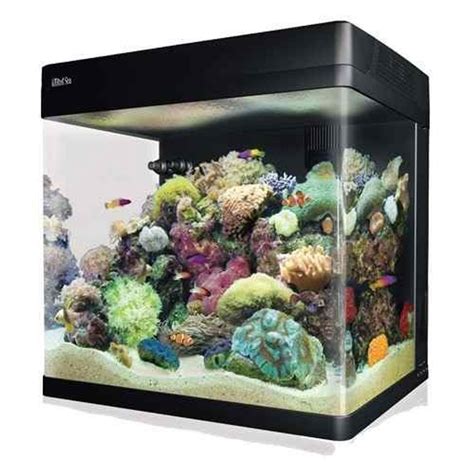 red sea max 130d reef aquarium system package